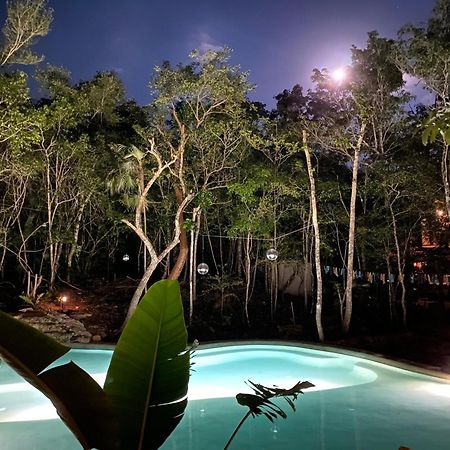 Hotel Casa Arkaana Eco Retreat Tulum Exteriér fotografie